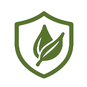 Belgelenmiş Güvence